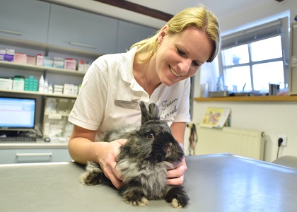 tierarzt kersebohm luenen dortmund bochum nrw 2