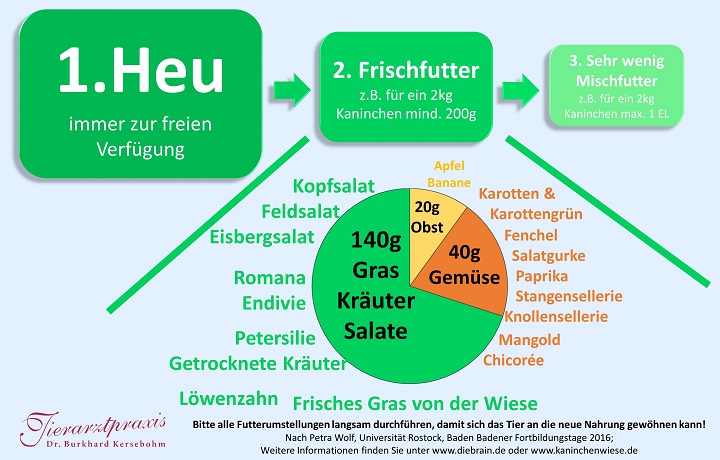 fuetterung kaninchen tierarztpraxis kersebohm luenen dortmund nrw