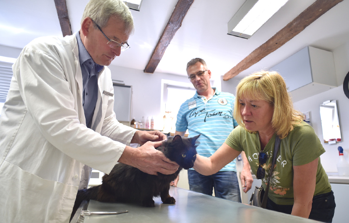 leistungen tierarzt kersebohm dortmund luenen bochum