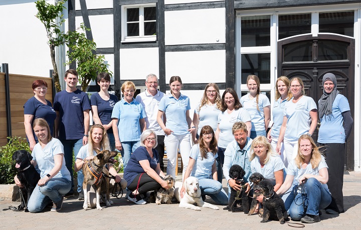 Teaser allgemein team2020